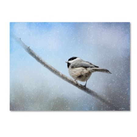 Jai Johnson 'Chickadee In The Snow' Canvas Art,35x47